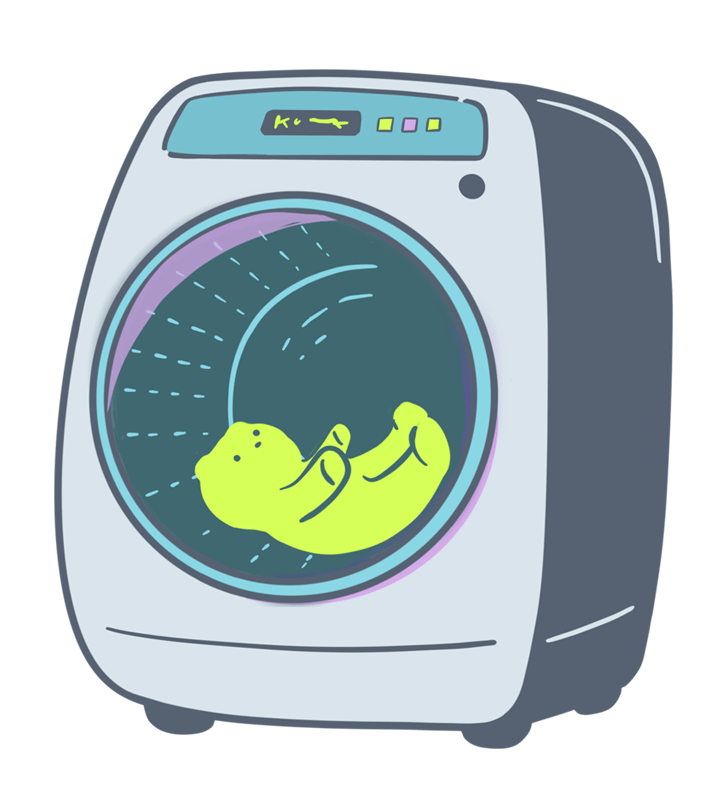 洗濯機で洗われるクマのぬいぐるみ
